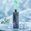 Ignite V55 Miami Mint 5.5k Puffs